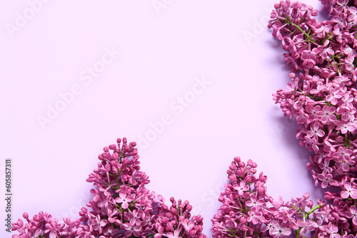 Beautiful blooming lilac flowers on purple background