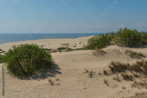 Fototapeta Naklejka Na Ścianę i Meble -  View of Staroderevenskaya dune from the height of Efa (Walnut Dune) and the Baltic Sea in the background on a sunny summer day, Curonian Spit, Kaliningrad region, Russia