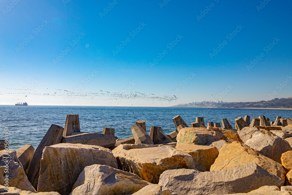 Chile pássaros pescando um navio ao fundo e a estrutura de concreto e pedras montada para cortar a arrebentação do mar na praia Acapulco De Viña Del Mar Chile pássaros pescando um navio ao fundo e a estrutura de concreto e pedras montada para cortar a arrebentação do mar na praia Acapulco De Viña Del Mar