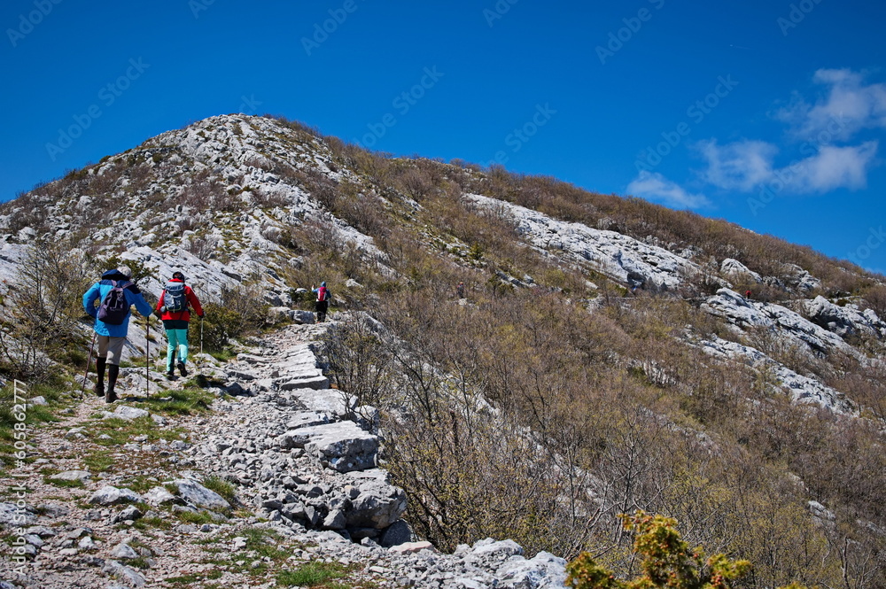 Rear view of people hiking in karst landscape in Croatia