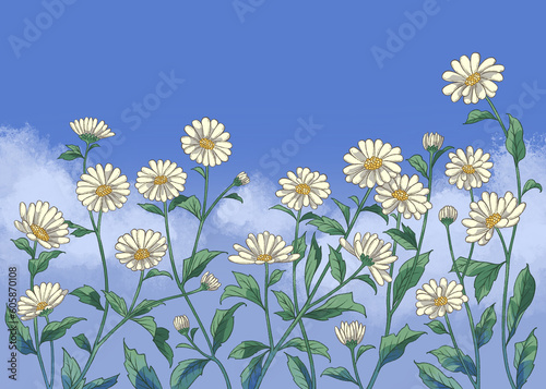 Illustration of daisy flowers  daisy garden  digital art.