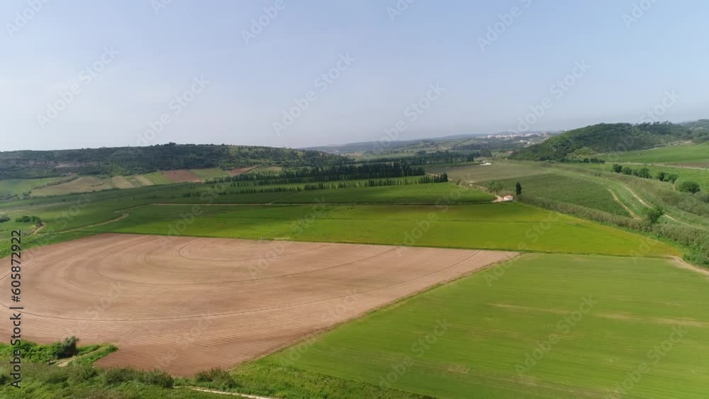 Drone is Flying Over the Green Field Drone is Flying Over the Green Field