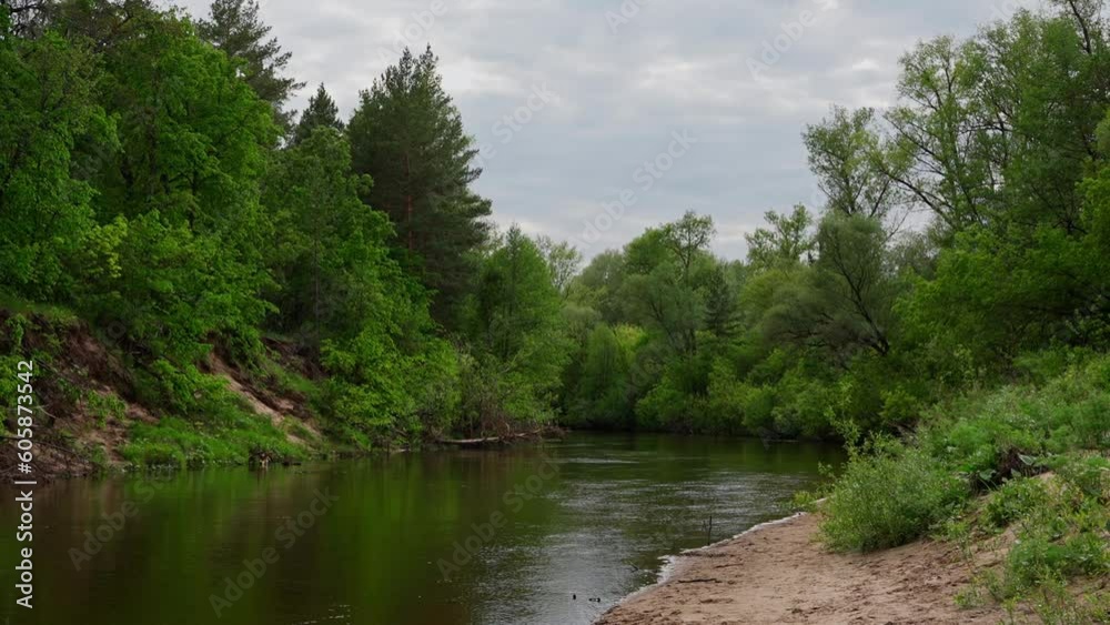 Cinematic view of a river stream surrounded by a green forest. Wild places untouched by man. Peaceful scenery of wild nature. Calmness and tranquility nature background. Cinematic view of a river stream surrounded by a green forest. Wild places untouched by man. Peaceful scenery of wild nature. Calmness and tranquility nature background.