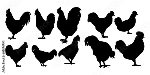 hen silhouettes