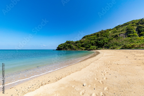 奄美大島 大和村 国直海岸