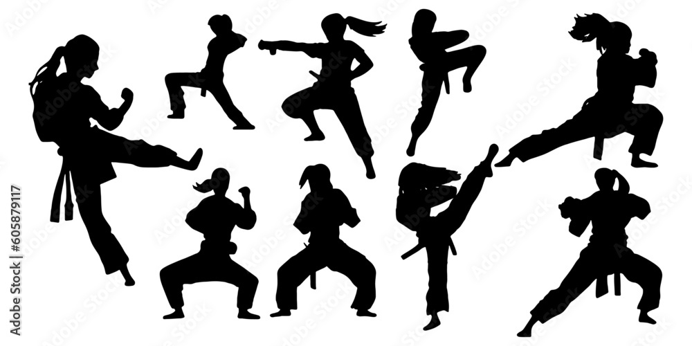 woman martial art silhouettes - obrazy, fototapety, plakaty 