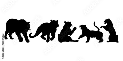 tiger silhouettes