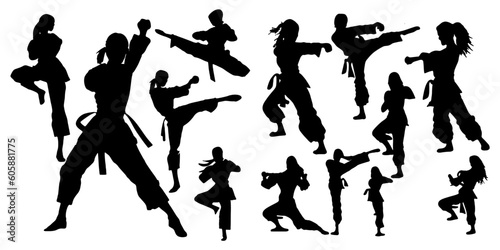 woman martial art silhouettes © Dian