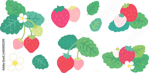 Cute strawberry and leaf. Vector hand drawn illustration.