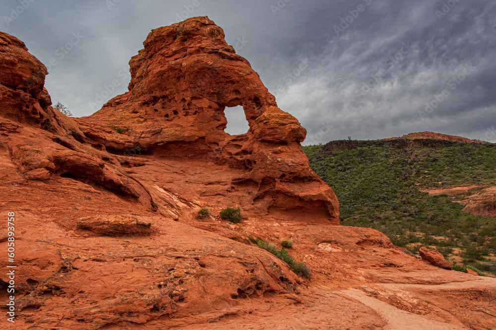 Fototapeta premium Desert Eye