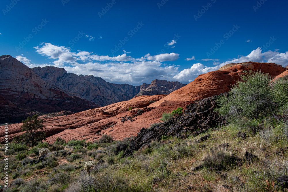 Obraz premium Desert's Colorful Vista