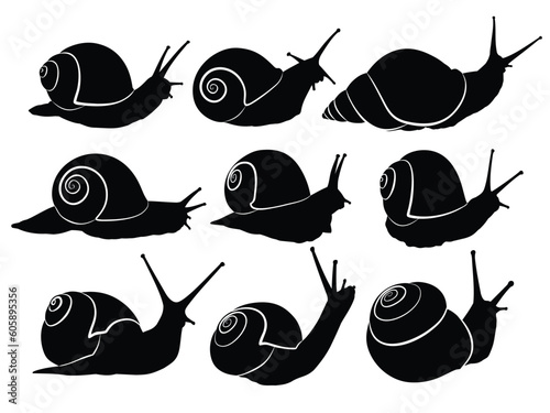 The set silhouettes of wild snails.
