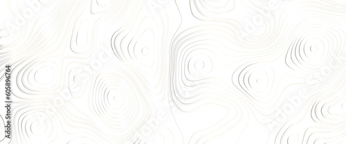 Abstract Topographic map background with wave line, topographic map background. monographic map, the stylized height of the topographic contour in lines and contours. 