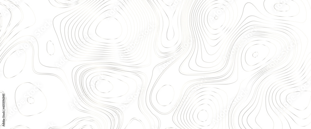 Topographic map lines background. Abstract vector illustration, the stylized height of the topographic contour in lines and contours, white lines on light white background. Texture for documents.	