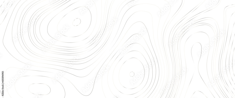 Topographic map lines background. Abstract vector illustration, the stylized height of the topographic contour in lines and contours, white lines on light white background. Texture for documents.	
