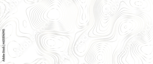 Topographic map lines background. Abstract vector illustration, the stylized height of the topographic contour in lines and contours, white lines on light white background. Texture for documents. 