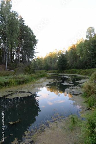 The Nerl River in the Yaroslavl region