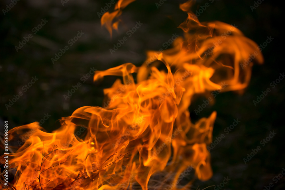 Flame of fire on black background. Fire close-up. Forest fires, burning trees. Firewood by the fireplace. Flame of fire on black background. Fire close-up. Forest fires, burning trees. Firewood by the fireplace.