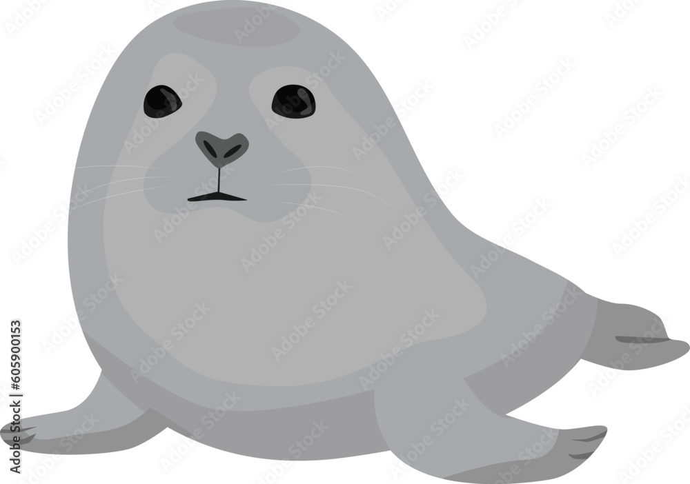 animal, seal, fur seal vector illustration animal, seal, fur seal vector illustration
