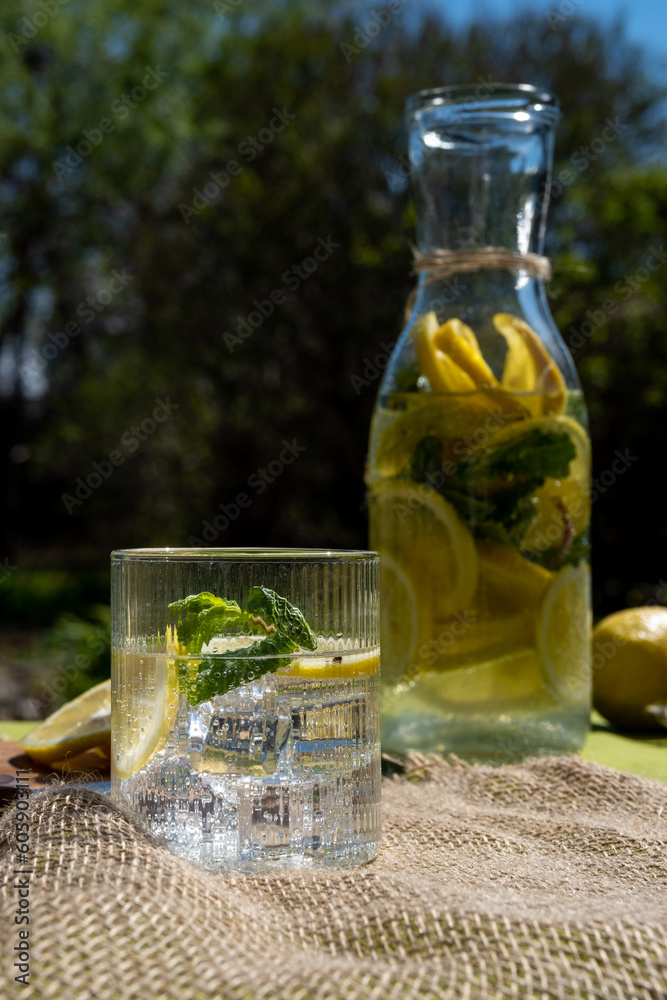 Fresh, icy citrus lemonade made from lemon and mint. Low-calorie, sugar-free summer lemonade. Naturally prepared lemonade. Photo taken with natural light. Fresh, icy citrus lemonade made from lemon and mint. Low-calorie, sugar-free summer lemonade. Naturally prepared lemonade. Photo taken with natural light.