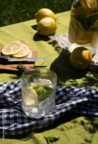 Fresh, icy citrus lemonade made from lemon and mint. Low-calorie, sugar-free summer lemonade. Naturally prepared lemonade. Photo taken with natural light.