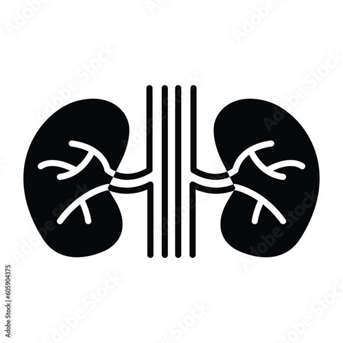Kidneys vector icon