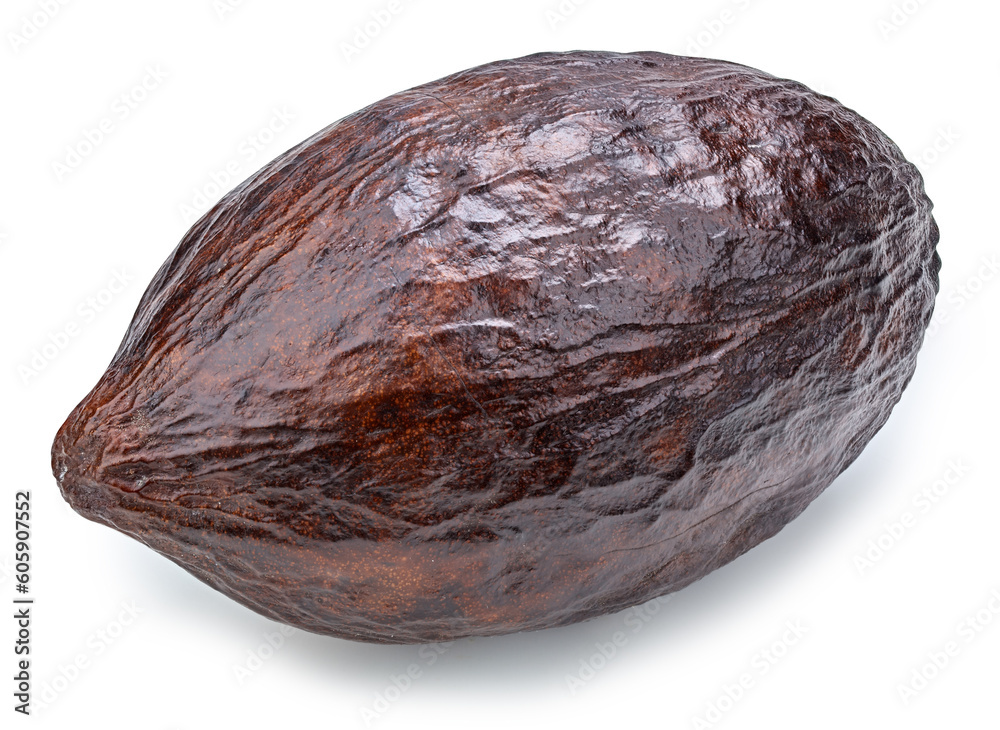 cacao isolated on white background cacao isolated on white background