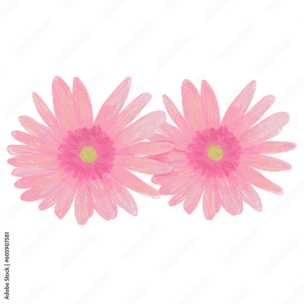 pink flower pink flower