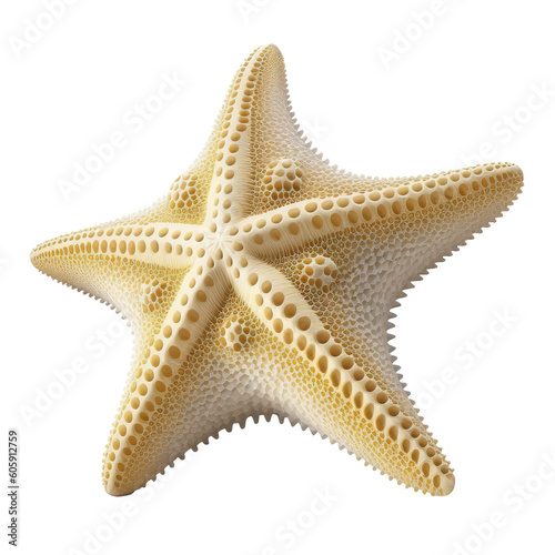 star fish isolated on white