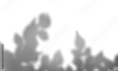 Shadow overlay effect transparent background. Abstract sunlight background with organic shadows from plants, leaves, and branches.