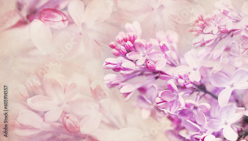 Floral spring background. Vintage watercolor background of lilac flowers.  Close-up. Nature.