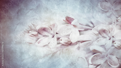 Floral spring background. Vintage watercolor background of lilac flowers. Close-up. Nature. © nadezhda F