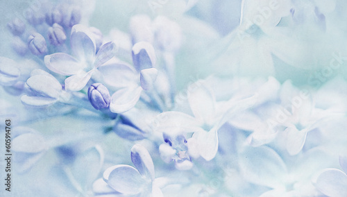 Floral spring background. Vintage watercolor background of lilac flowers. Close-up. Nature.