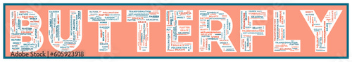 BUTTERFLY text filled with related keywords of various sizes. Butterfly word cloud. Awesome vector illustration.