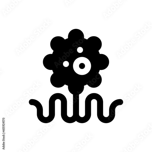 bacteria