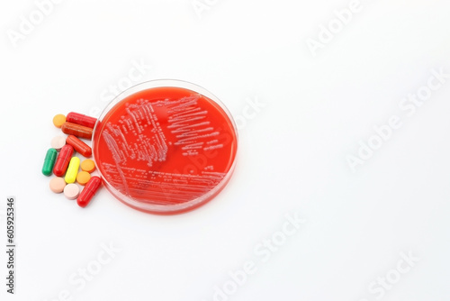 The rise of antibiotic-resistant bacterial infections. A Petri dish with a culture of the Superbug Acinetobacter baumannii next to antibiotics or medicines photo