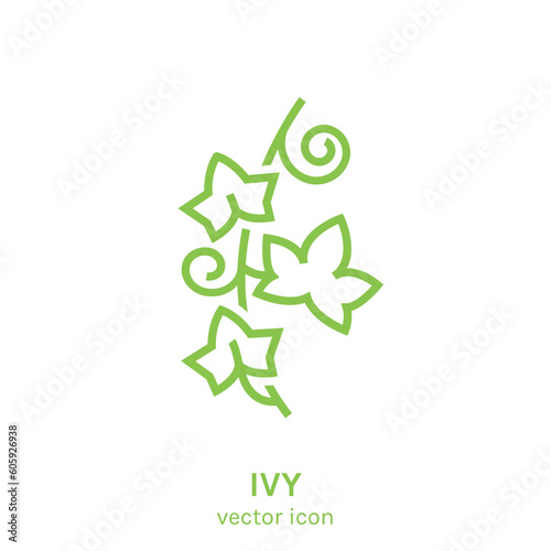 Hedera. Outline element for logotype, symbol, insignia design.