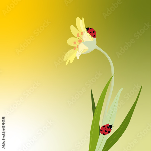 Red ladybug with black spots on a yellow lily flower, with green leaves, on a yellow-green background with a gradient. Vector illustration. Postcard, background, congratulation, social media post.