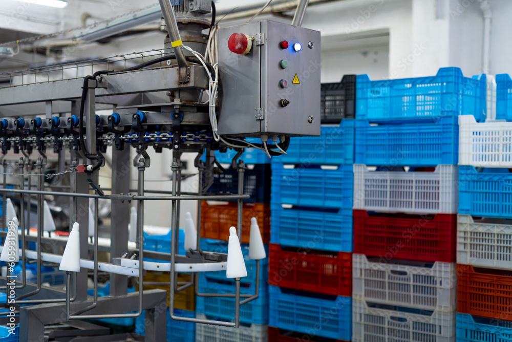 Large poultry farm processing workshop with automated conveyor systems, ensuring high-quality production, efficient packaging, and strict hygiene standards Large poultry farm processing workshop with automated conveyor systems, ensuring high-quality production, efficient packaging, and strict hygiene standards