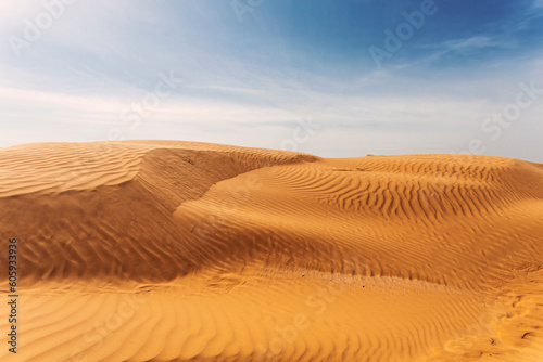 Scenic view of the dunes in the desert on a sunny summer day. © vesta48