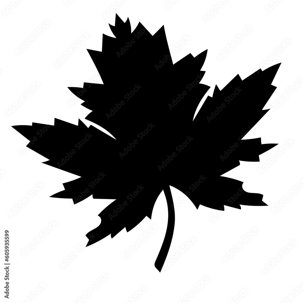 illustration of a leaf vector illustration of a leaf vector