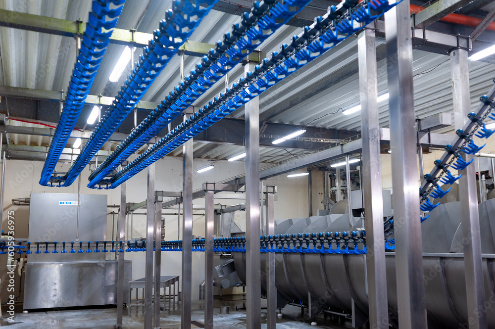 Naklejka premium Equipment on chicken farm. Conveyor line