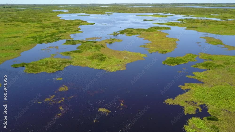 Wetlands of northeast Argentina shooted with drone Wetlands of northeast Argentina shooted with drone