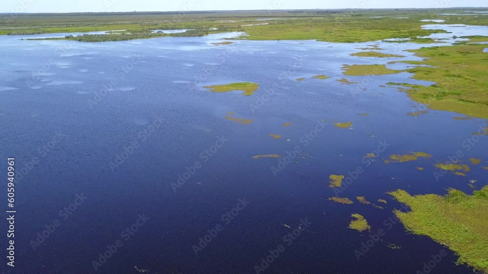 Wetlands of northeast Argentina shooted with drone Wetlands of northeast Argentina shooted with drone