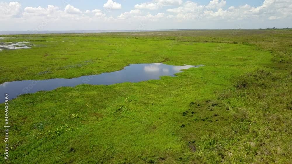 Wetlands of northeast Argentina shooted with drone Wetlands of northeast Argentina shooted with drone