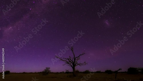 zooming out from a tree at night while the stars, milkyway and magellanic clouds are moving in the clear night sky, nightscape, night full of stars