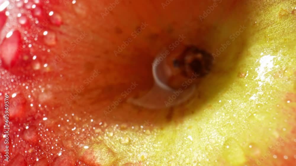The texture of the apple's skin becomes more pronounced through the ...