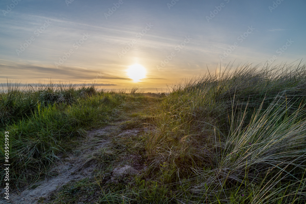 Breathtaking Golden Sunset over Beach  with Helmgrass