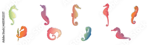 Stylized Sea Horses with Bony Armour and Curled Prehensile Tail Vector Set