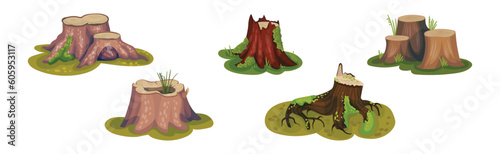 Tree Stump and Old Forest Stub on Green Grass Vector Set